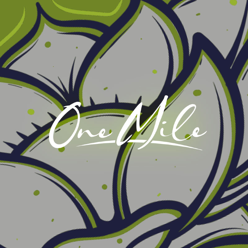 Nueva colección One Mile Crossfit x Pata Palo Market. Technique One Mile Crossfit.